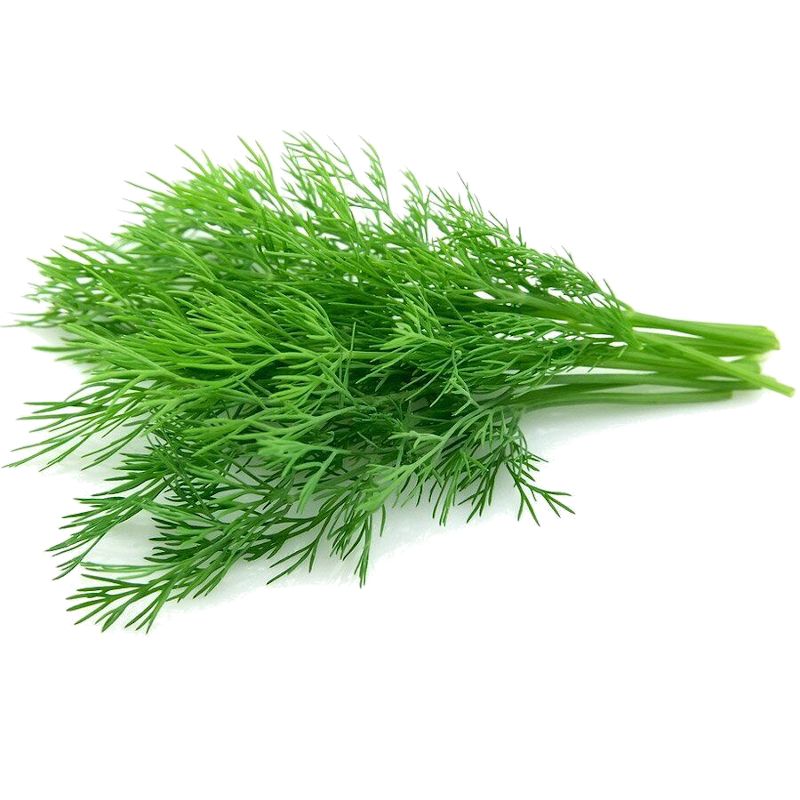 Кріп свіжий, другого товарного сорту, ДСТУ 8624, 1 кг